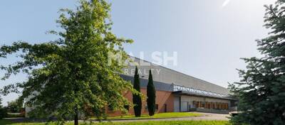 MALSH Realty & Property - Local d'activités - Côtière (Ain/A42/Beynost/Dagneux/Montluel) - Miribel - 36