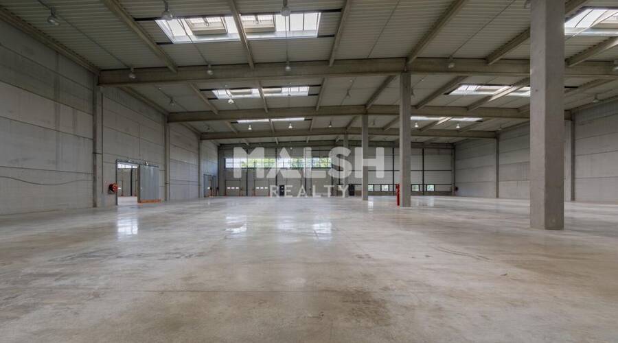 MALSH Realty & Property - Local d'activités - Côtière (Ain/A42/Beynost/Dagneux/Montluel) - Miribel - 5