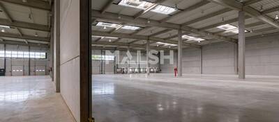 MALSH Realty & Property - Local d'activités - Côtière (Ain/A42/Beynost/Dagneux/Montluel) - Miribel - 4