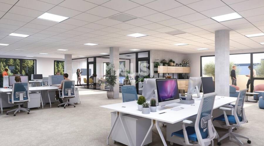 MALSH Realty & Property - Bureau - Extérieurs OUEST (Tarare / Arbresle) - Tarare - 3
