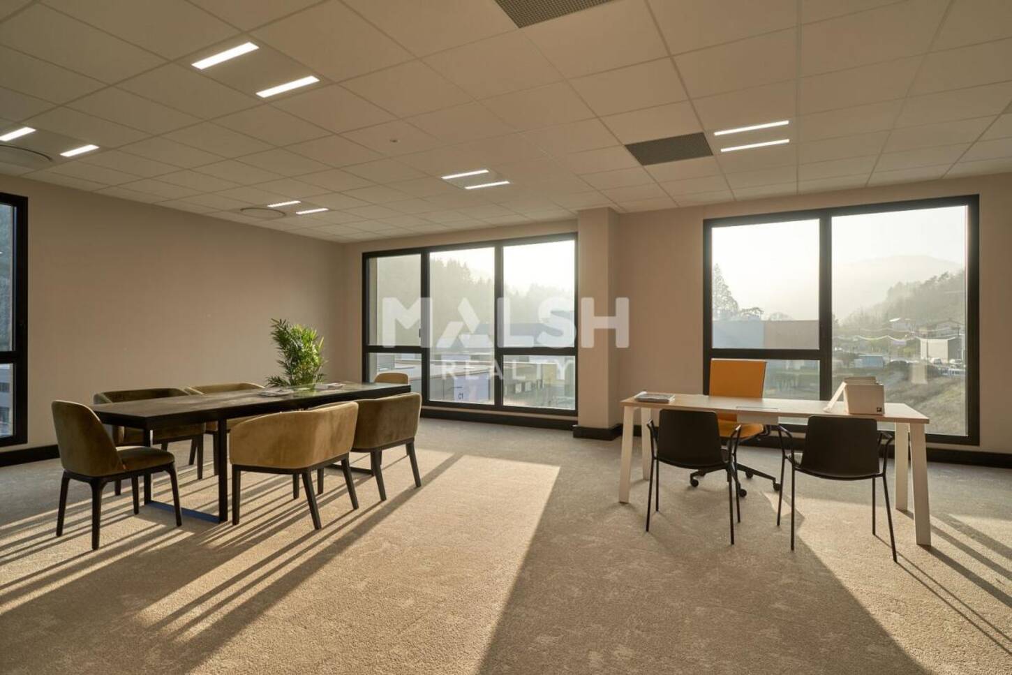 MALSH Realty & Property - Bureau - Extérieurs OUEST (Tarare / Arbresle) - Tarare - 2