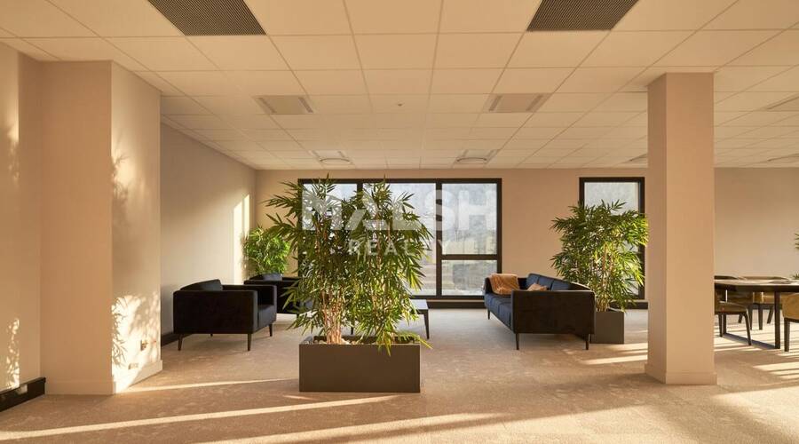 MALSH Realty & Property - Bureau - Extérieurs OUEST (Tarare / Arbresle) - Tarare - 5