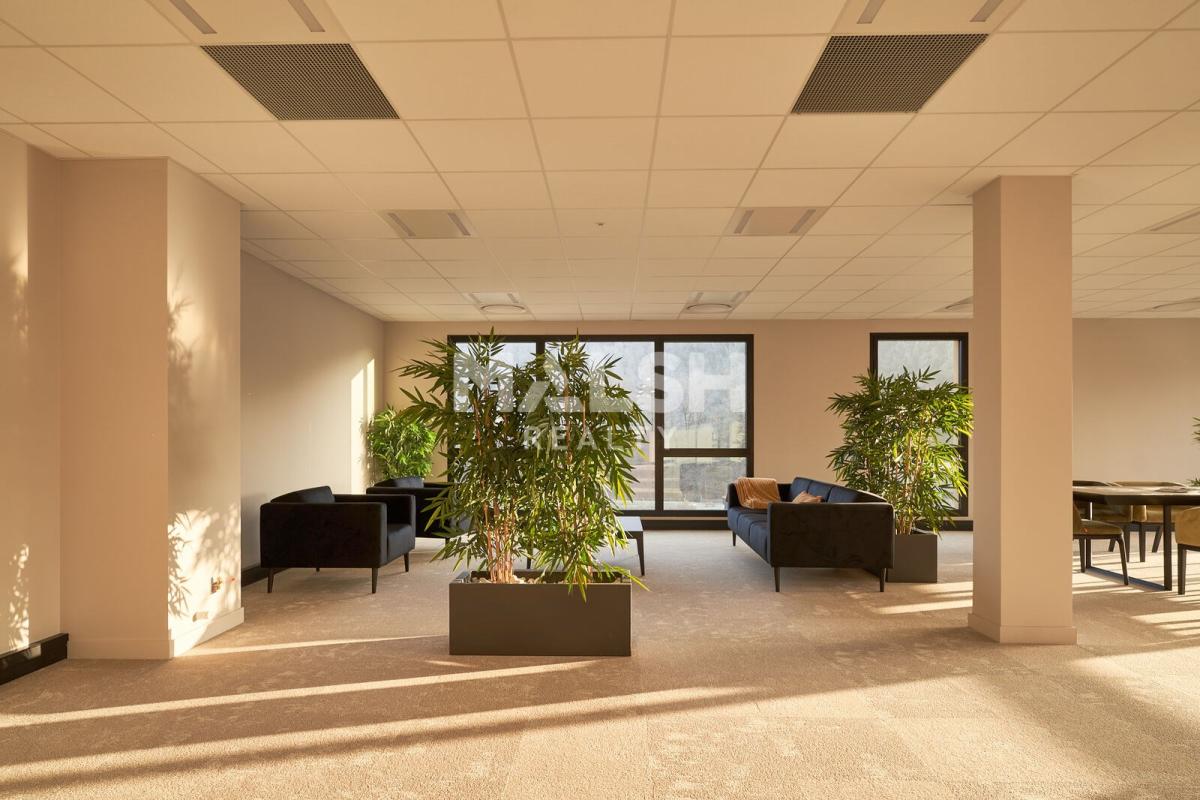 MALSH Realty & Property - Bureau - Extérieurs OUEST (Tarare / Arbresle) - Tarare - 5