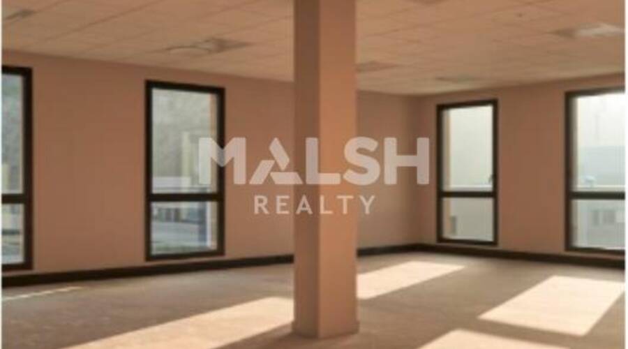 MALSH Realty & Property - Local d'activités - Extérieurs OUEST (Tarare / Arbresle) - Tarare - 4
