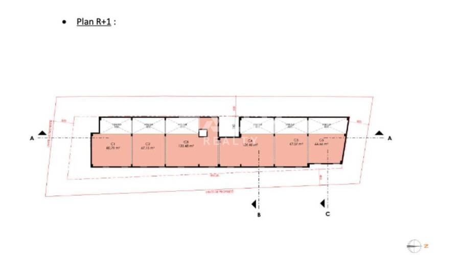 MALSH Realty & Property - Local commercial - Extérieurs NORD (Villefranche / Belleville) - Limas - 10
