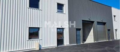 MALSH Realty & Property - Local d'activités - Nord 42 - Riorges - 6