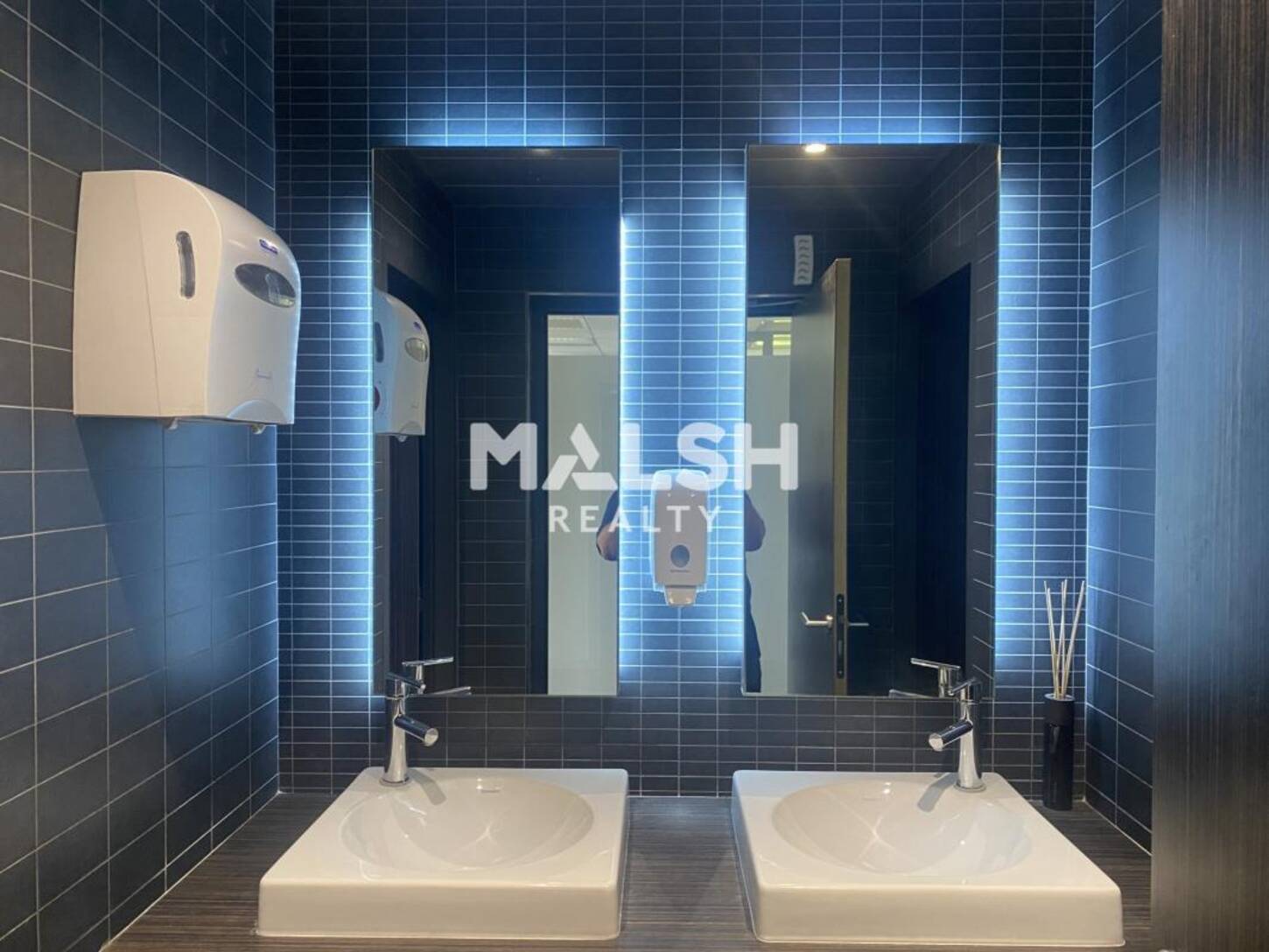 MALSH Realty & Property - Bureau - Plateau Nord / Val de Saône - Caluire-et-Cuire - 2