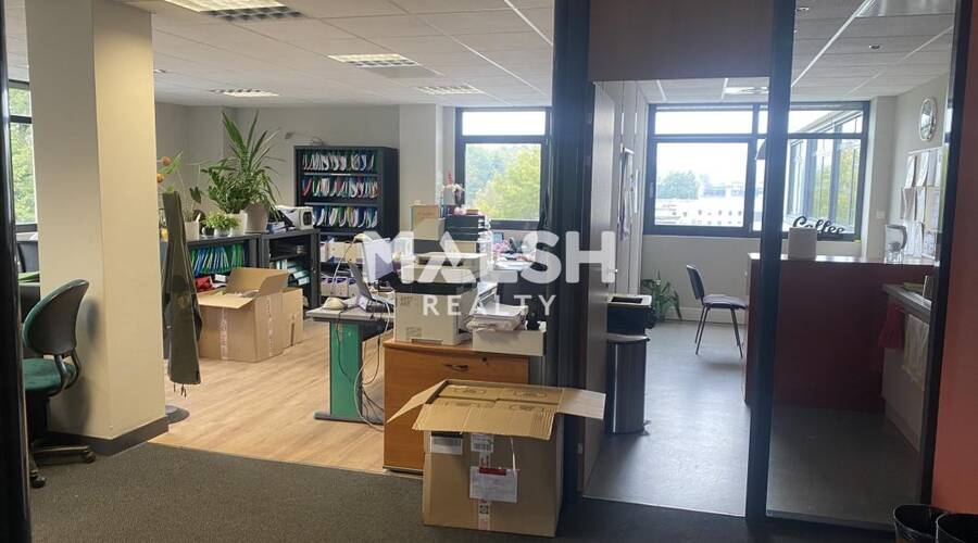 MALSH Realty & Property - Bureau - Lyon Nord Ouest (Techlid / Monts d'Or) - Limonest - 3