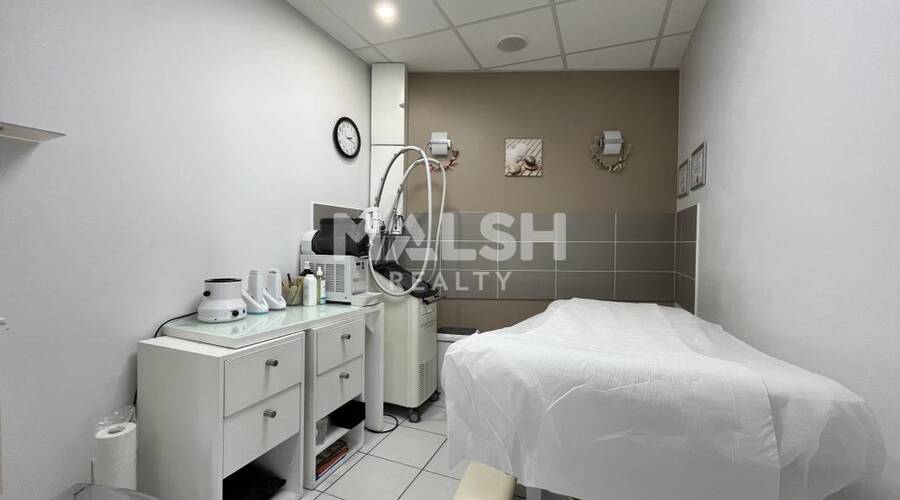 MALSH Realty & Property - Local commercial - Lyon Nord Ouest (Techlid / Monts d'Or) - Tassin-la-Demi-Lune - 6