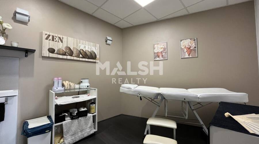 MALSH Realty & Property - Local commercial - Lyon Nord Ouest (Techlid / Monts d'Or) - Tassin-la-Demi-Lune - 4