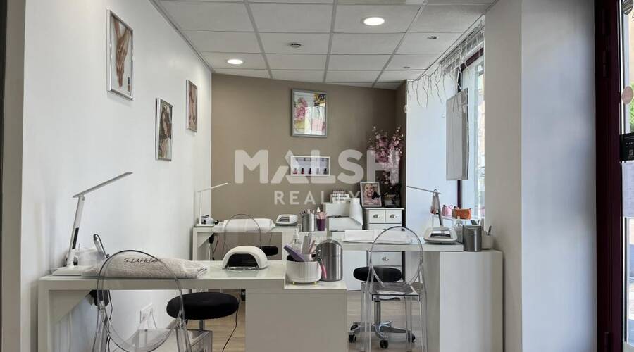 MALSH Realty & Property - Local commercial - Lyon Nord Ouest (Techlid / Monts d'Or) - Tassin-la-Demi-Lune - 12