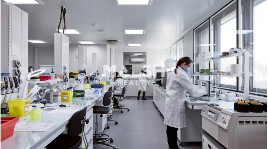 MALSH Realty & Property - Bureau - Lyon 8°/ Hôpitaux - Lyon 8 - 3