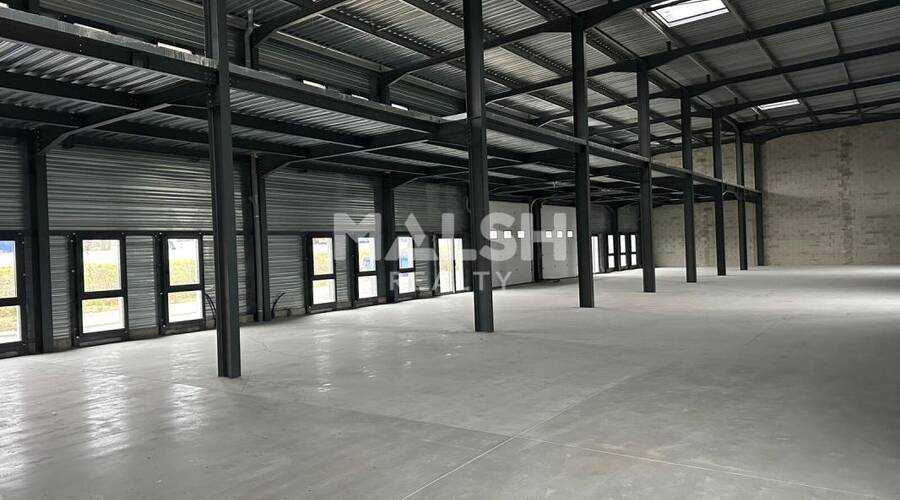 MALSH Realty & Property - Local d'activités - Nord Isère ( Ile d'Abeau / St Quentin Falavier ) - Bourgoin-Jallieu - 1