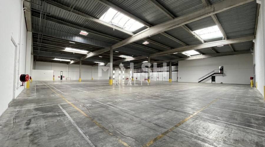 MALSH Realty & Property - Local d'activités - Lyon Sud Est - Corbas - 3