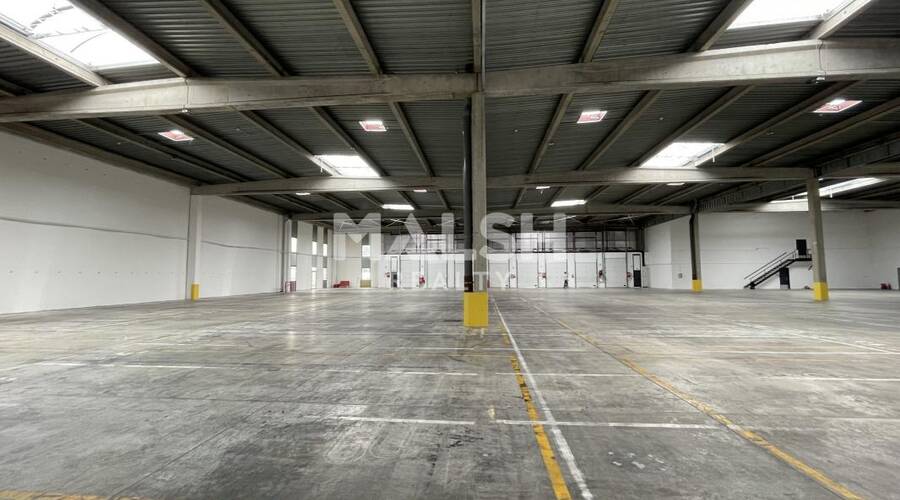 MALSH Realty & Property - Local d'activités - Lyon Sud Est - Corbas - 5