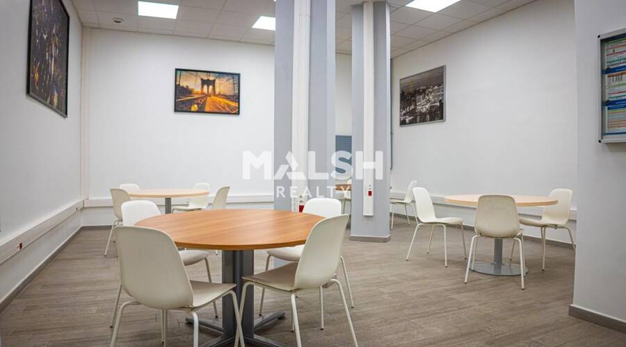 MALSH Realty & Property - Bureau - Lyon Nord Est (Rhône Amont) - Villeurbanne - 12