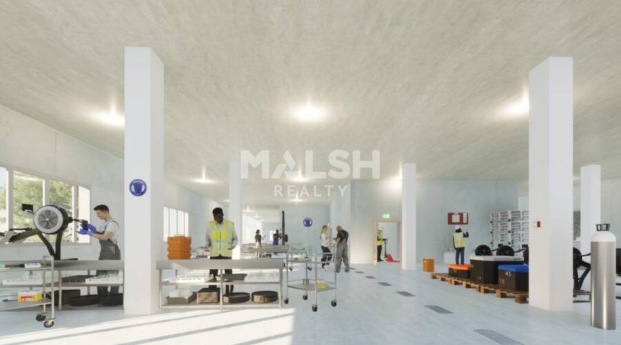 MALSH Realty & Property - Local d'activités - Carré de Soie / Grand Clément / Bel Air - Villeurbanne - 2