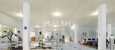 MALSH Realty & Property - Local d'activités - Carré de Soie / Grand Clément / Bel Air - Villeurbanne - 2