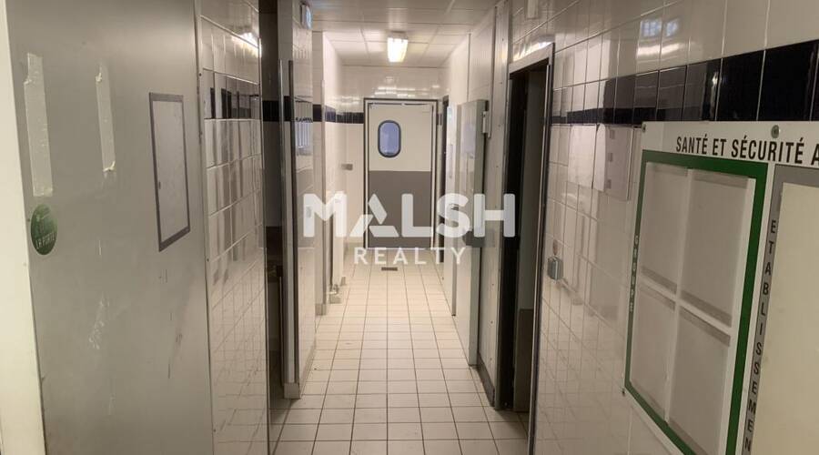 MALSH Realty & Property - Bureau - Lyon Sud Est - Feyzin - 19
