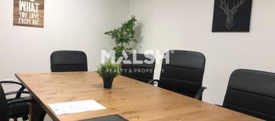 MALSH Realty & Property - Bureaux - Lyon Nord Est (Rhône Amont) - Meyzieu - 12