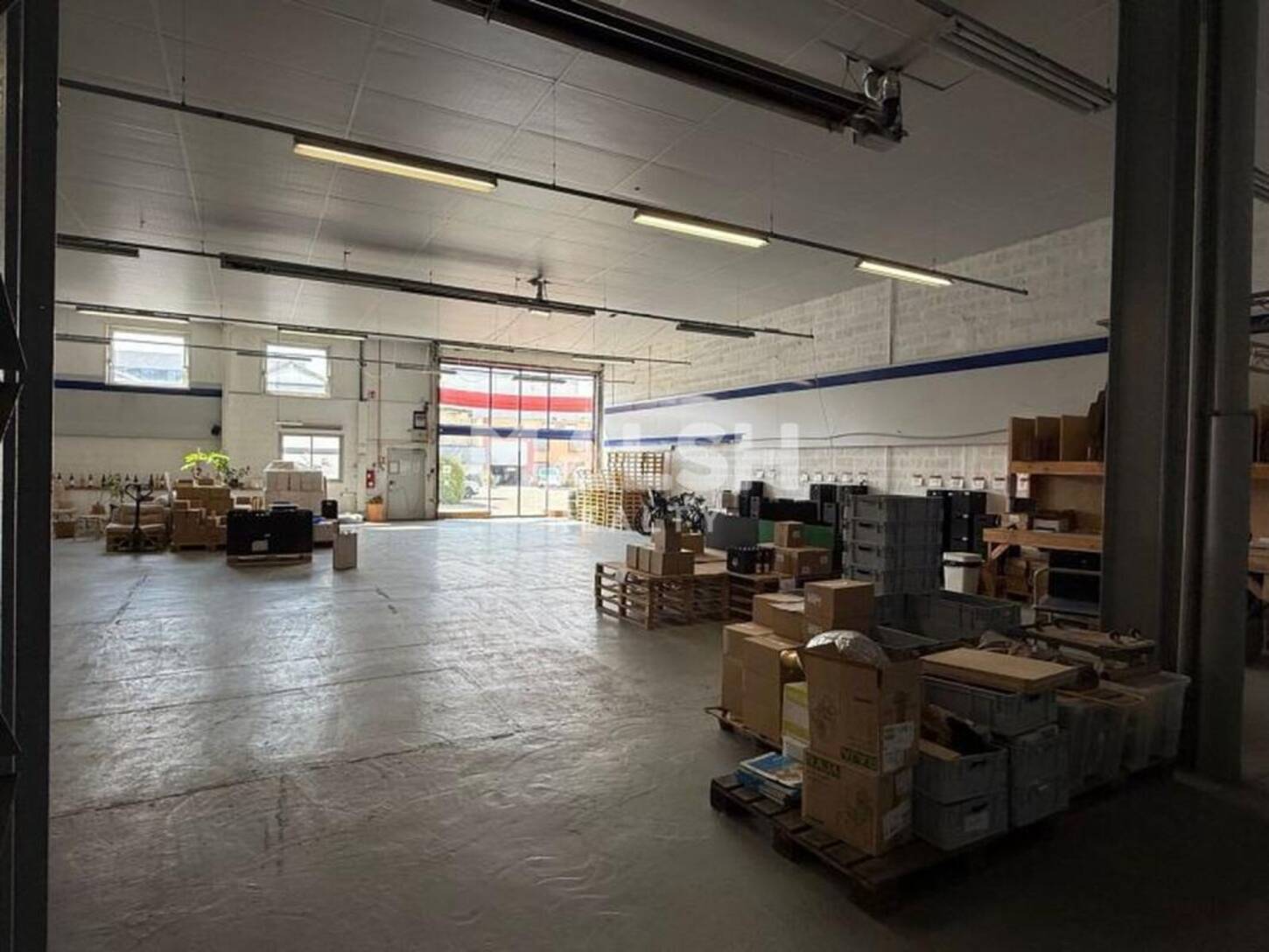 MALSH Realty & Property - Local d'activités - Lyon 7° / Gerland - Lyon 7 - 2