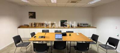 MALSH Realty & Property - Local d'activités - Lyon 7° / Gerland - Lyon 7 - 12