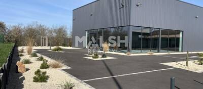 MALSH Realty & Property - Local commercial - Nord 42 - Pouilly-sous-Charlieu - 2