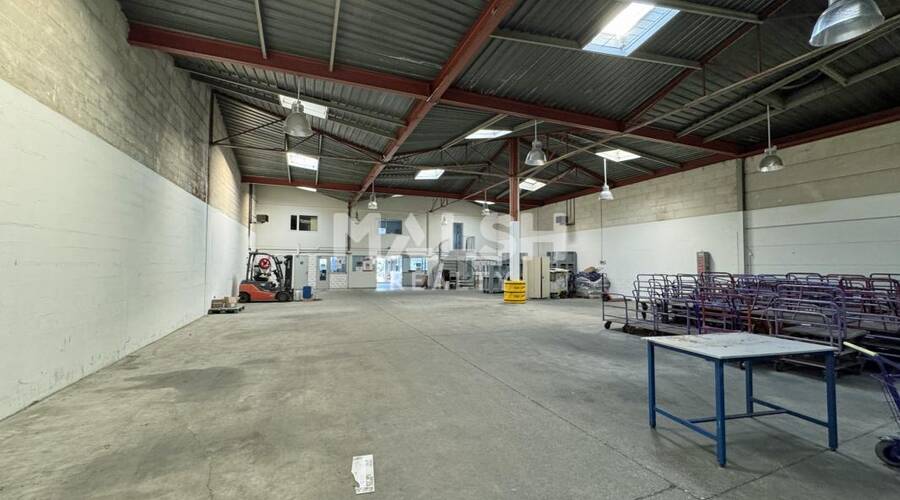 MALSH Realty & Property - Local d'activités - Saint Etienne - Saint-Étienne - 1