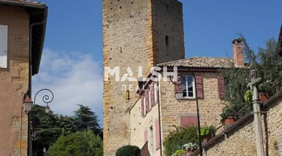 MALSH Realty & Property - Bureau - Saint-Cyr-au-Mont-d'Or - 1