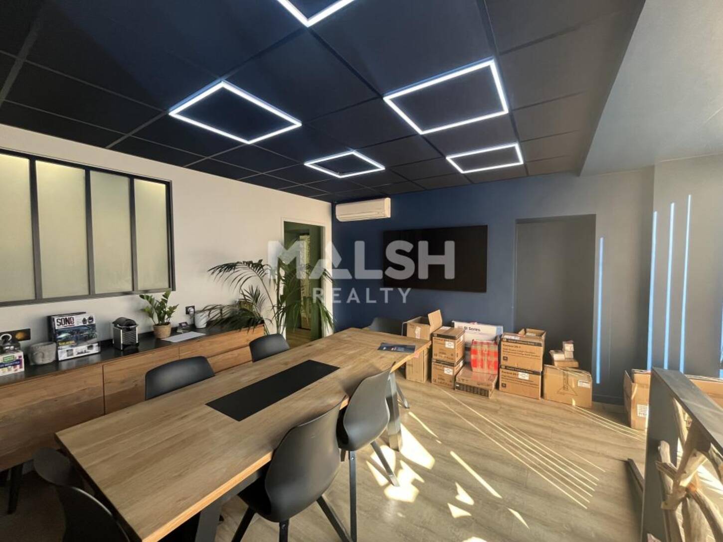 MALSH Realty & Property - Local commercial - Lyon Nord Ouest (Techlid / Monts d'Or) - Tassin-la-Demi-Lune - 2