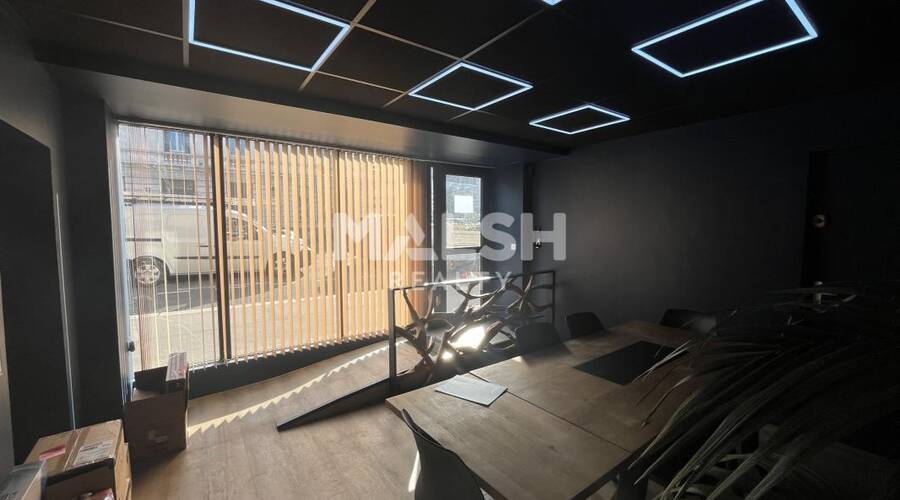 MALSH Realty & Property - Local commercial - Lyon Nord Ouest (Techlid / Monts d'Or) - Tassin-la-Demi-Lune - 5