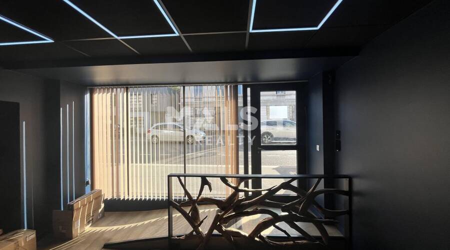 MALSH Realty & Property - Local commercial - Lyon Nord Ouest (Techlid / Monts d'Or) - Tassin-la-Demi-Lune - 7