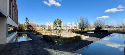 MALSH Realty & Property - Bureau - Lyon Nord Ouest (Techlid / Monts d'Or) - Champagne-au-Mont-d'Or - 4