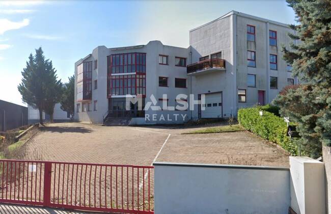 MALSH Realty & Property - Local d'activités - Lyon Nord Ouest (Techlid / Monts d'Or) - Champagne-au-Mont-d'Or - 1