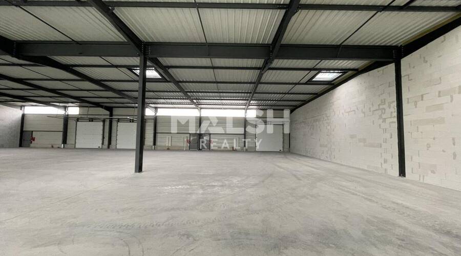 MALSH Realty & Property - Local d'activités - Nord 42 - Neulise - 3