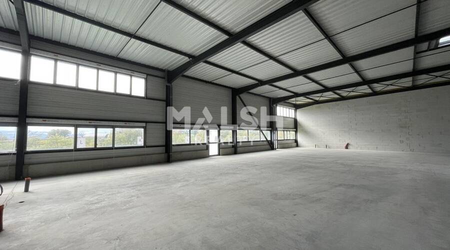 MALSH Realty & Property - Local d'activités - Nord 42 - Neulise - 5