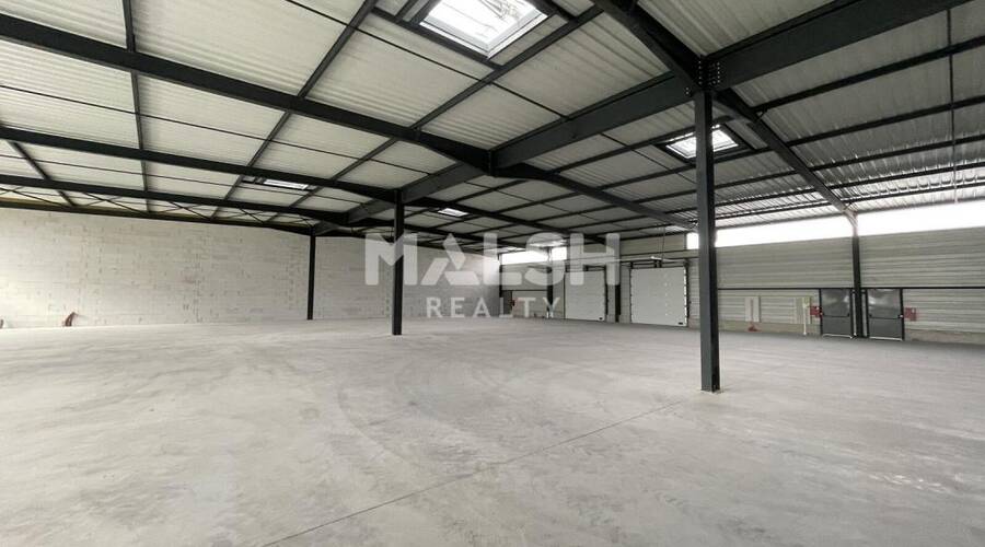 MALSH Realty & Property - Local d'activités - Nord 42 - Neulise - 4