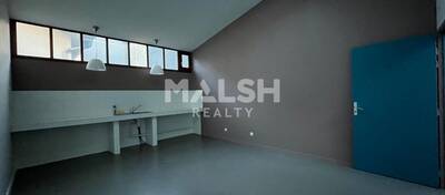 MALSH Realty & Property - Local commercial - Extérieurs NORD (Villefranche / Belleville) - Belleville - 4