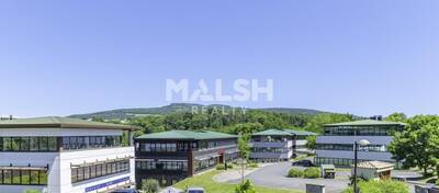 MALSH Realty & Property - Local d'activités - Lyon Nord Ouest (Techlid / Monts d'Or) - Lissieu - 13