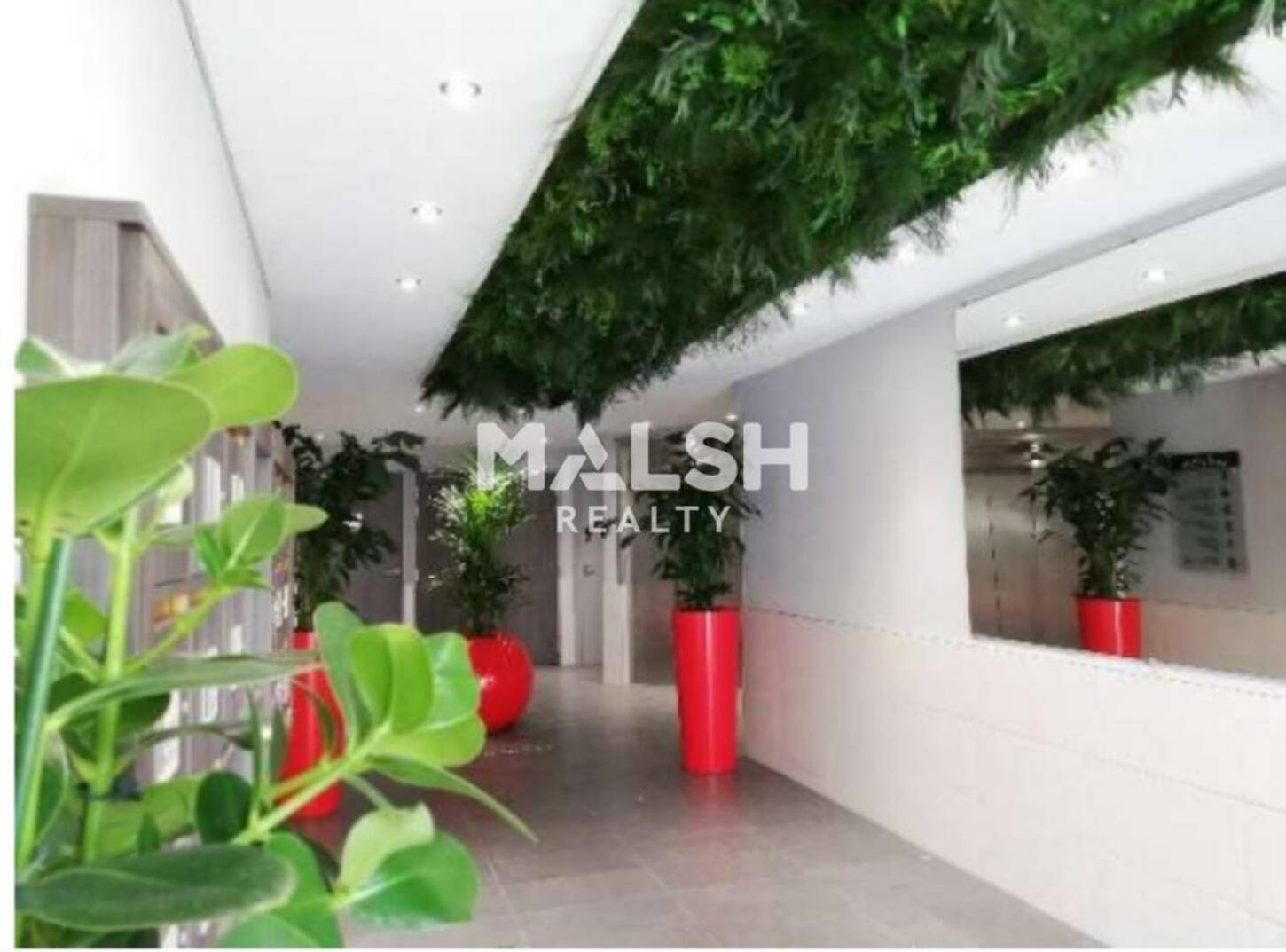 MALSH Realty & Property - Bureau - Lyon 6° - Lyon 6 - 2