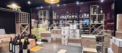 MALSH Realty & Property - Local commercial - Lyon Sud Ouest - Francheville - 3