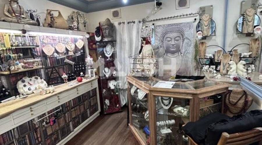 MALSH Realty & Property - Local commercial - Lyon - Presqu'île - Lyon 2 - 1