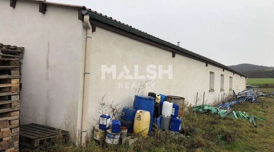 MALSH Realty & Property - Local d'activités - Extérieurs OUEST (Tarare / Arbresle) - Coise - 9