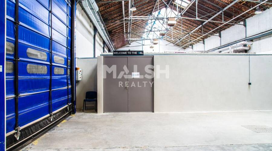 MALSH Realty & Property - Local d'activités - Carré de Soie / Grand Clément / Bel Air - Villeurbanne - 1