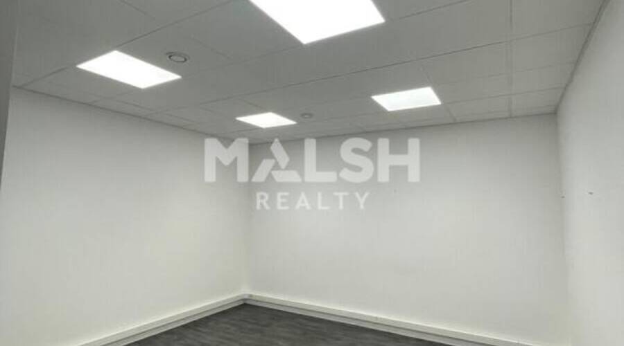 MALSH Realty & Property - Local d'activités - Carré de Soie / Grand Clément / Bel Air - Villeurbanne - 4