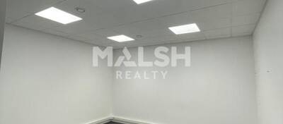 MALSH Realty & Property - Local d'activités - Carré de Soie / Grand Clément / Bel Air - Villeurbanne - 4