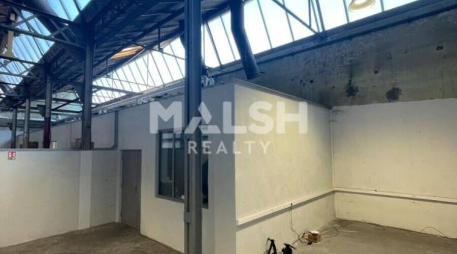 MALSH Realty & Property - Local d'activités - Carré de Soie / Grand Clément / Bel Air - Villeurbanne - 9