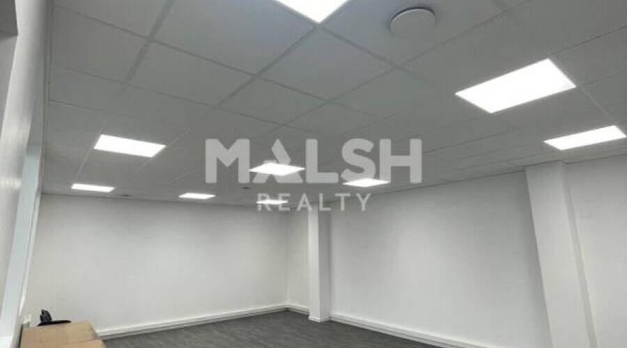 MALSH Realty & Property - Local d'activités - Carré de Soie / Grand Clément / Bel Air - Villeurbanne - 23