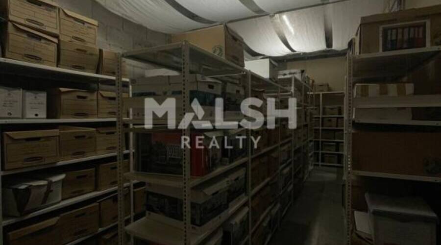 MALSH Realty & Property - Local d'activités - Carré de Soie / Grand Clément / Bel Air - Villeurbanne - 27