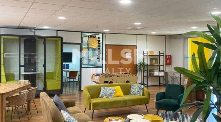 MALSH Realty & Property - Local d'activités - Carré de Soie / Grand Clément / Bel Air - Villeurbanne - 28